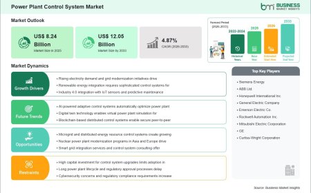 A 46.2% Revenue Increase is Projected to Drive the Power Plant Control System Industry Over the Forecast Period