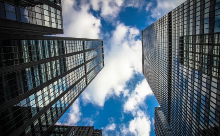 Best Sealants for Commercial Construction Projects