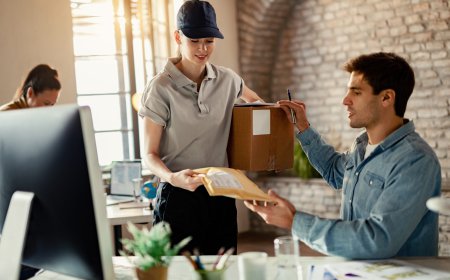 Global Postal Services Market Size, Trends, and Growth Outlook 2026-2033