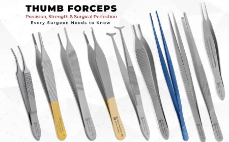 Premium Surgical Instruments: A Comprehensive Guide to Forceps