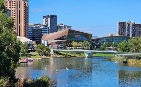 What Sign Writers Adelaide Locals Trust With Their Branding