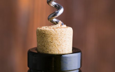 Wine Cork Market Size, Trends, and Growth Opportunities 2026-2033