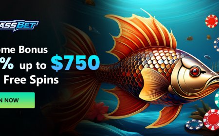 Bassbet Casino Makes Gamified Rewards Simple to Use