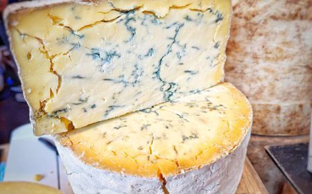 Why Blue Cheese Is Becoming a Favorite in Modern Food Culture