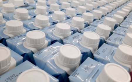Dairy Packaging Innovation Balances Product Freshness with Sustainability Goals