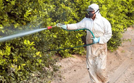 Pesticide Control