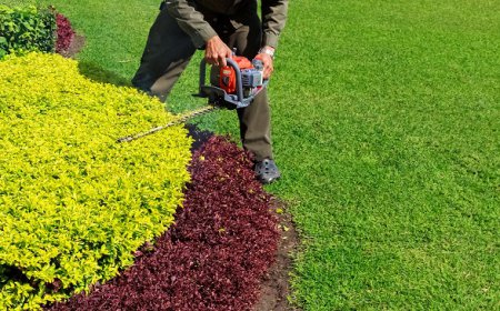 How Does Weather Affect Lawn Trimming Schedules?