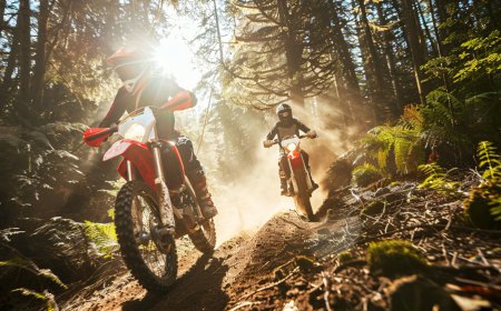 Adventure Motorcycle Market Size, Trends, and Growth Forecast 2026-2033