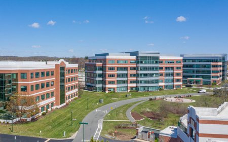 Finding Commercial Office Space for Rent That Fits Your Needs