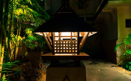 Outdoor LED Lighting Market Size, Trends, Growth, and Forecast Analysis 2026-2033
