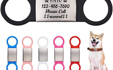 Pet Collar Tags: The Everyday Essential That Could Save Your Pet's Life