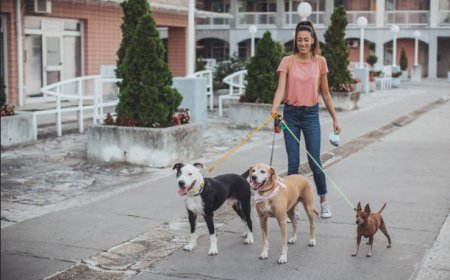 How Often U.S. Dog Owners Need Dog Walking Services by Work Schedule