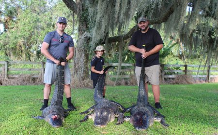 Exclusive Hunting Experiences Florida: Discover the Hunt of Your Dreams
