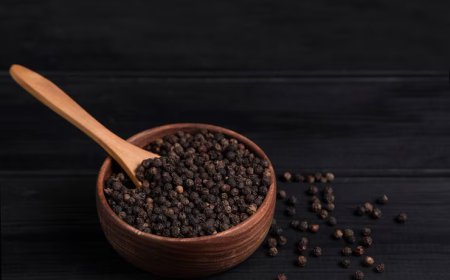 Black Pepper Wholesale Price in Germany: Understanding Quality, Supply, and Reliable Sourcing