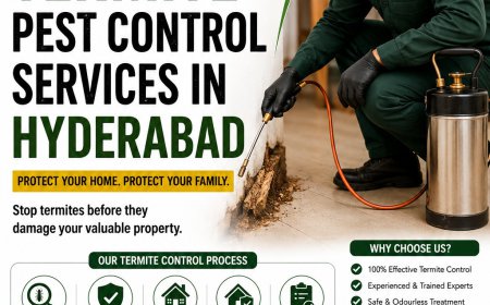 Termite Pest Control Services in Hyderabad – NHN Trees Cutting Hyderabad