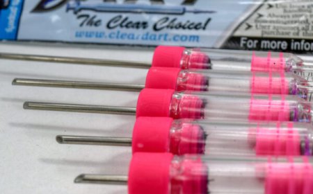 Capture Dart Gun: Advancing Precision and Humane Animal Care with Clear Dart