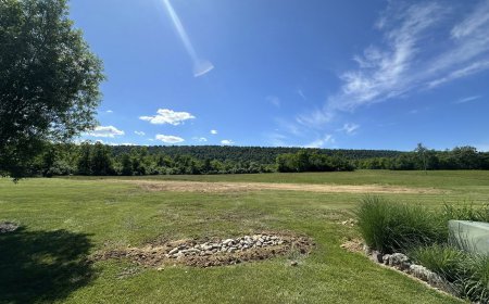 Reclaiming the Overgrown: How Virginia Land Gets a Fresh Start