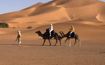 Morocco Desert Tours – Discover the Magic of the Sahara Desert