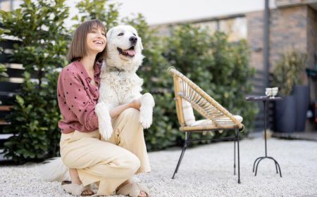 How Can Pet Sitters New Orleans Keep Your Dog Happy at Home?