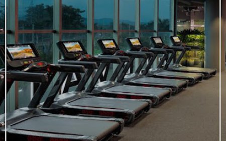 Elevate Wellness Club Strengthens Its Presence as the Best Gym in Panchkula