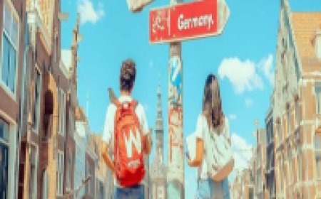 Germany vs. the Netherlands for Higher Study Abroad: Which Country Is Better for International Students?