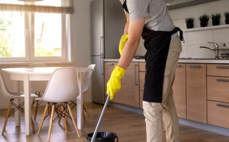 Why Finding the Right House Cleaning Service in Seattle Actually Matters
