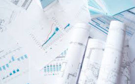 Step-by-Step Guide to Preparing a Northern Beaches Development Application