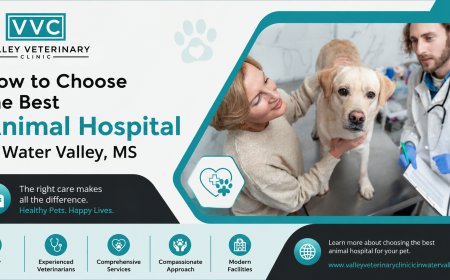 How to Choose the Best Animal Hospital in Water Valley, MS