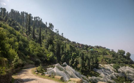 My Himachal Diaries: A Journey I Didn't Want to End