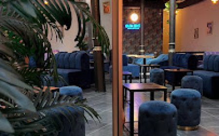 El Club de Cannabis Shop Barcelona Ideal para Socios Exclusivos