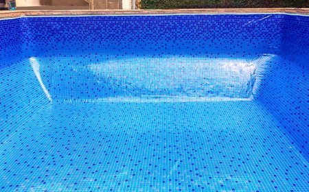 Is Your Pool Getting the Care It Needs?