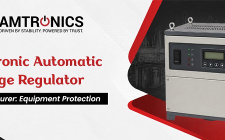 Electronic Automatic Voltage Regulator Manufacturer: Equipment Protection