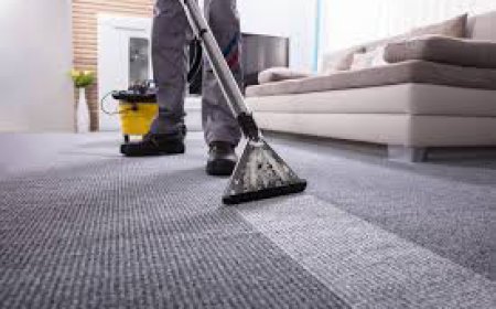 Carpet Cleaning Services Supporting Homes That Prefer Regular Cleaning