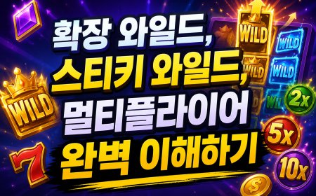 확장 와일드, 스티키 와일드, 멀티플라이어 완벽 이해하기