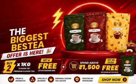 Tea Gift Pack Ideas: Why a Premium Tea Combo Pack Makes the Perfect Gift