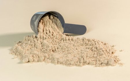 US Protein Supplements Market Growth, Trends, and Strategic Outlook 2026-2033