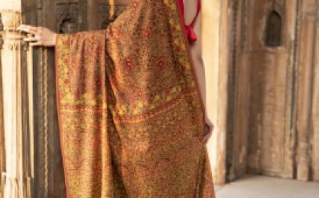 Kashmiri Sarees in Delhi: Timeless Elegance Woven with Traditional Craftsmanship