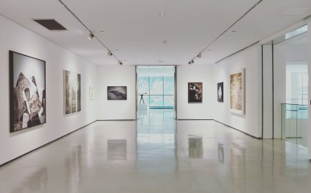 Museum Market Growth and Strategic Insights 2026-2033