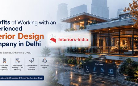 Benefits of Working with an Experienced Interior Design Company in Delhi