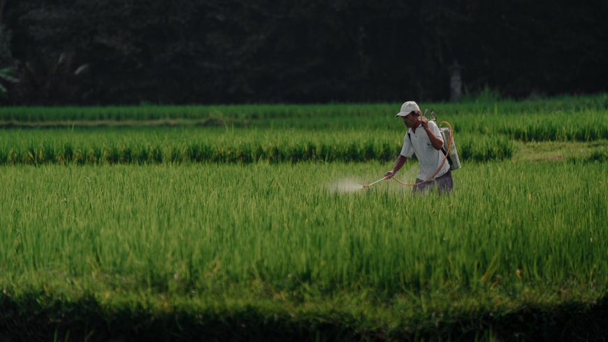 Best Fertilizer Manufacturer in India: Your Complete Guide to Smarter Farming