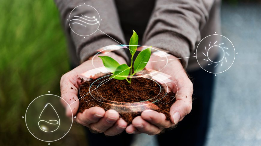 Global Regenerative Agriculture Market Outlook: Size, Trends, and Opportunities