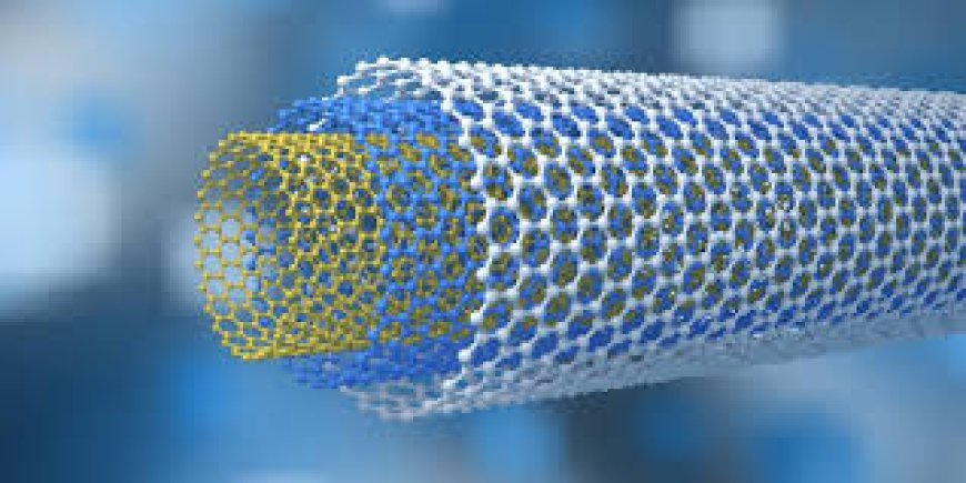 Carbon Nanotubes Market Size, Trends, and Growth Forecast 2026-2033