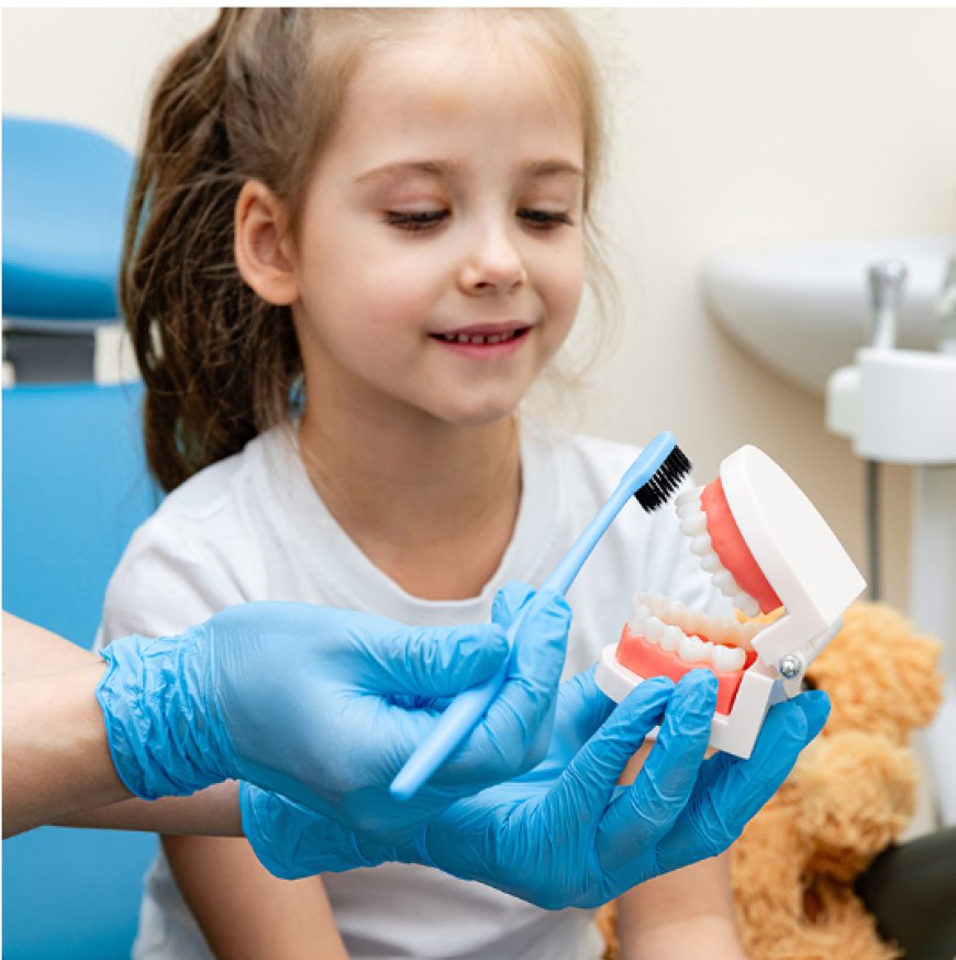 Why Regular Check-ups with a Dentist in Bobbin Head Matter for Long-Term Oral Health?