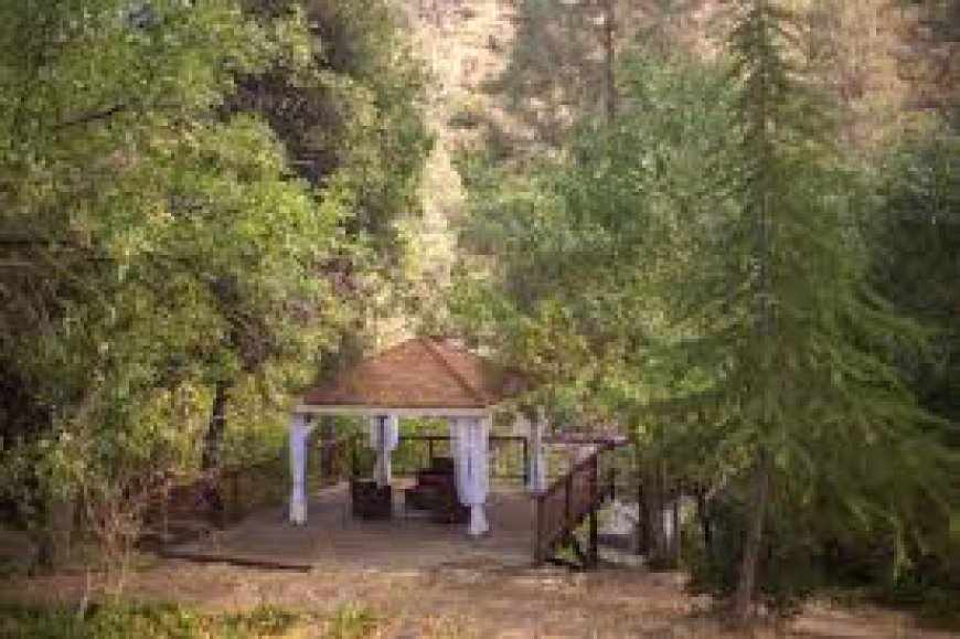 Finding Inner Harmony at the Best Retreat & Spa Sequoia