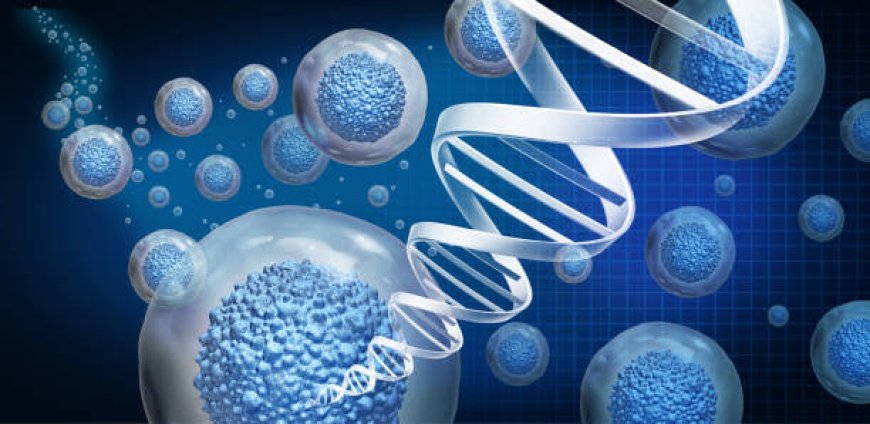 How Does Stem Cells Therapy Work?
