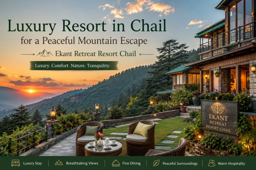 Luxury Resort in Chail for a Peaceful Mountain Escape | Ekant Retreat Resort Chail