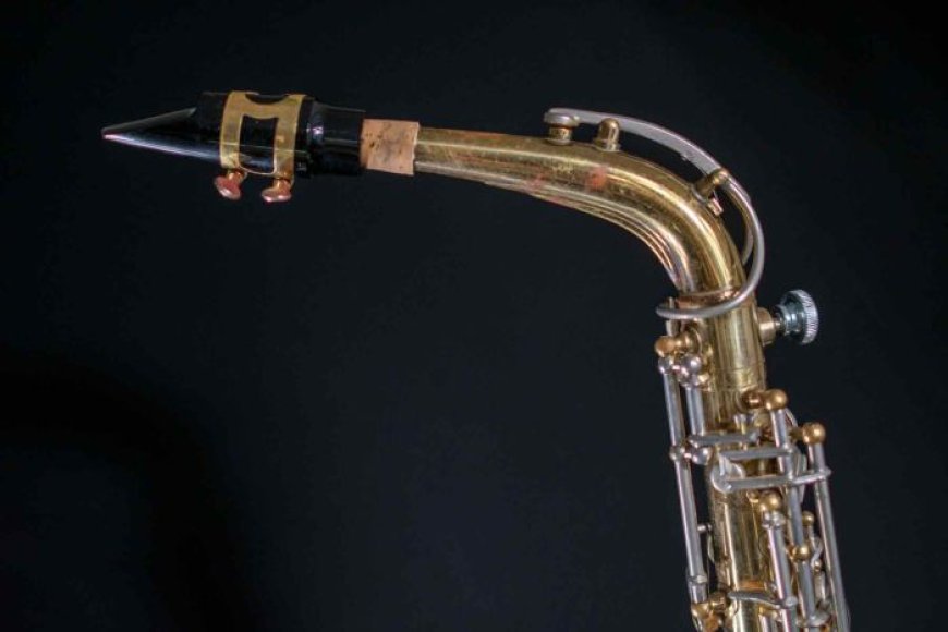 Why Is the Rene Dumont Alto Gaining Attention Among Saxophone Players?