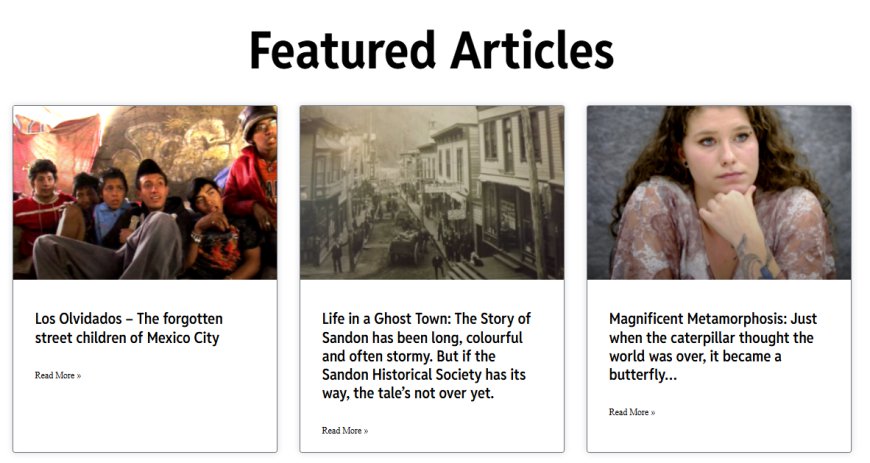 Understanding the Role of Les Merson in Writing, Editing, and Communications