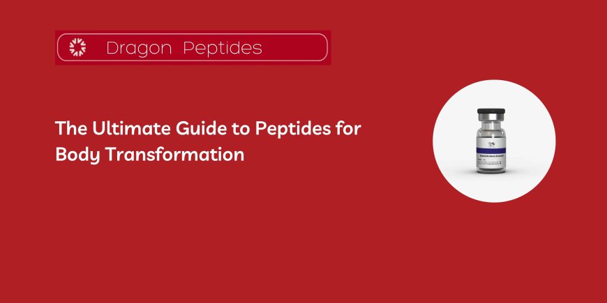 The Ultimate Guide to Peptides for Body Transformation