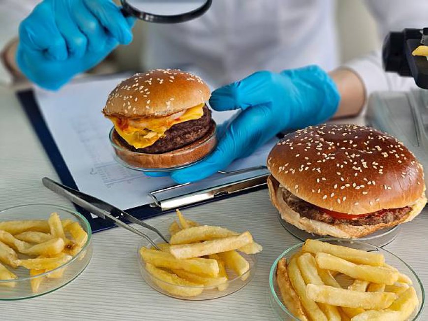 Why Rapid Food Testing Is Becoming Essential for Modern Food Safety